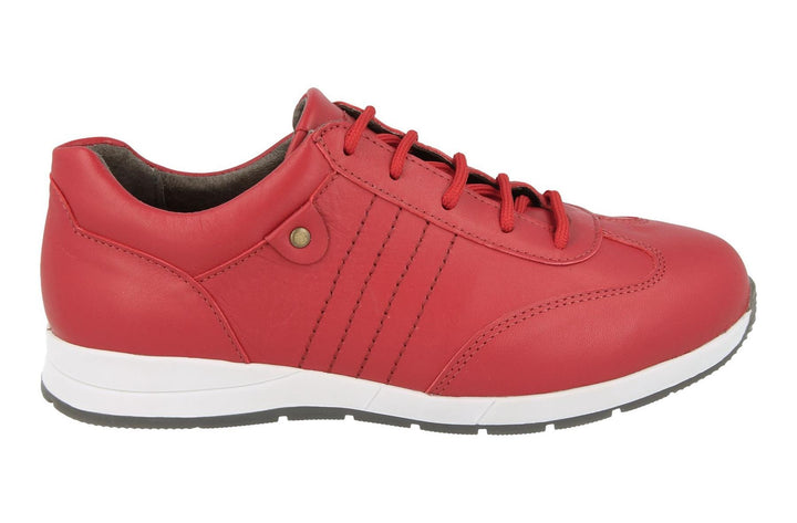 Womens Wide Fit DB Fareham Canvas Shoes