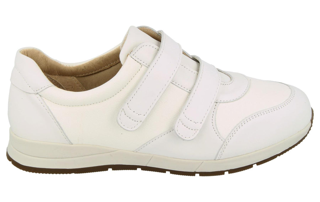 Womens Wide Fit DB Fox Canvas Shoes