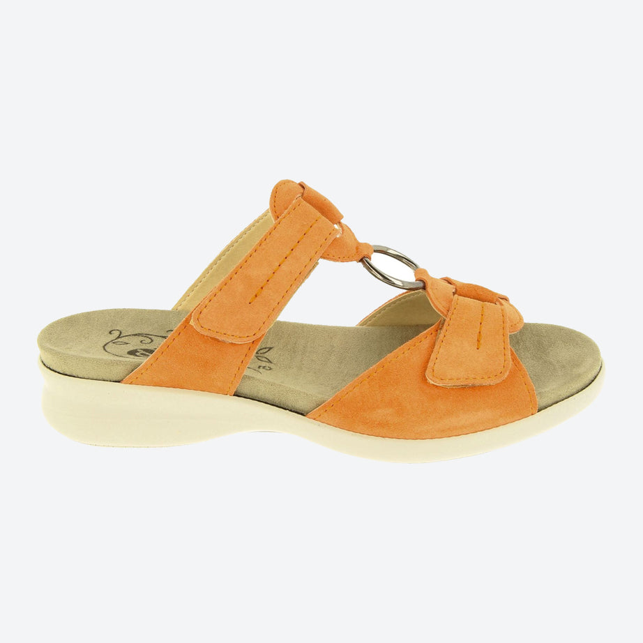 Womens Wide Fit DB Scooter Mule Sandals